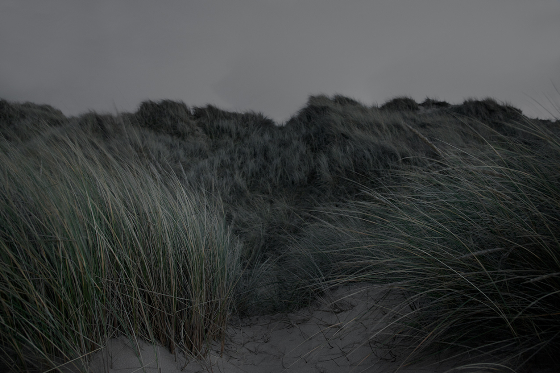 Borders #56