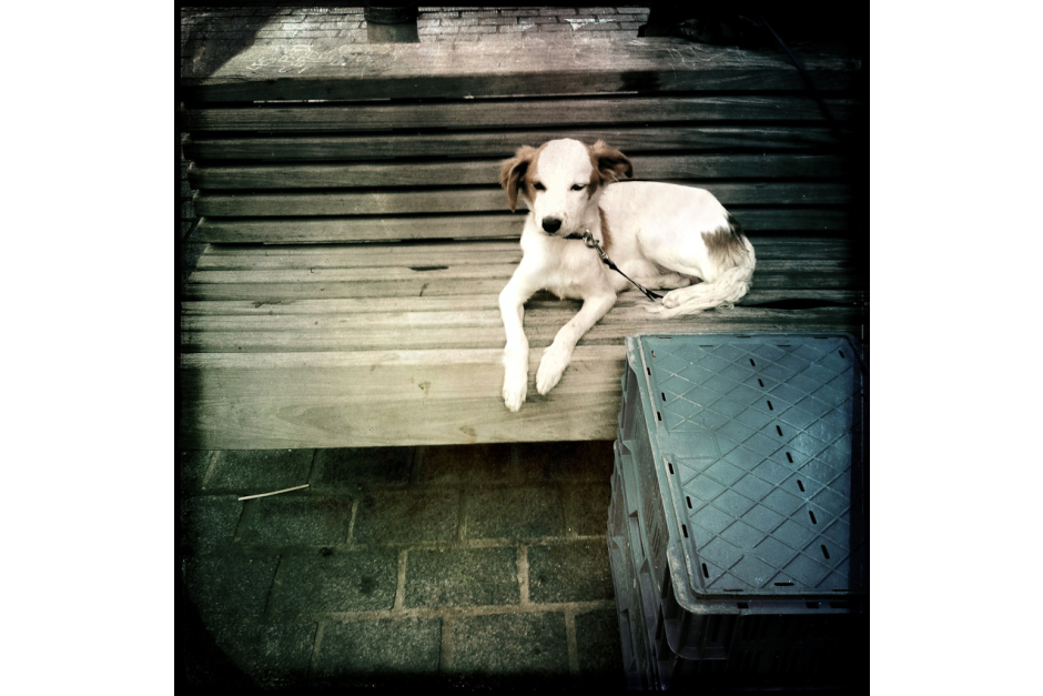 Lille iPhone 27